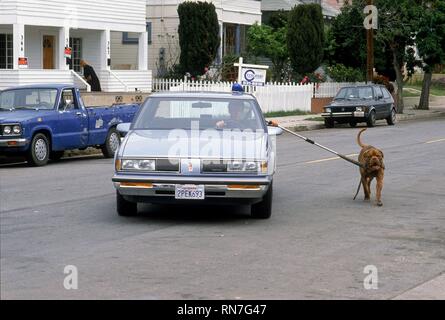 HANKS,CHIEN, Turner et HOOCH, 1989 Banque D'Images