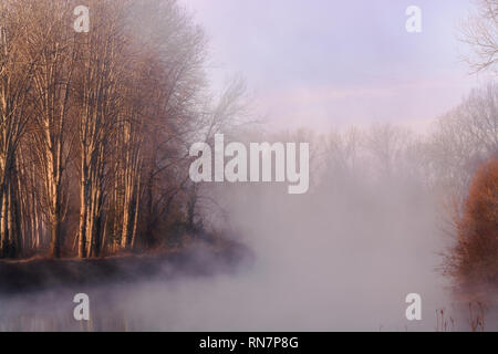 Le brouillard du matin au lever du soleil sur la rivière Sile à Casale sul Sile. Des arbres sur les rives, des paysages de campagne. Banque D'Images