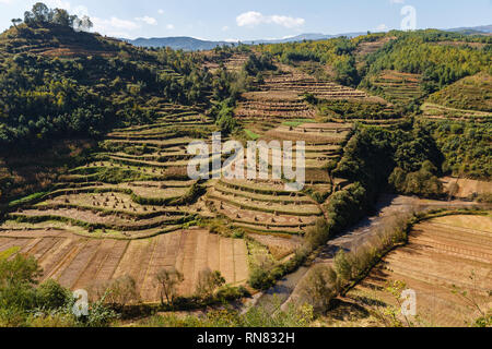 Les champs de maïs vide sur le flanc après la récolte, la Province du Yunnan, Chine Banque D'Images