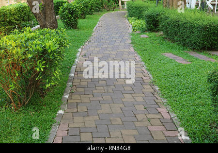 Allée pavée de bloc de pierre dans le jardin de verdure Banque D'Images