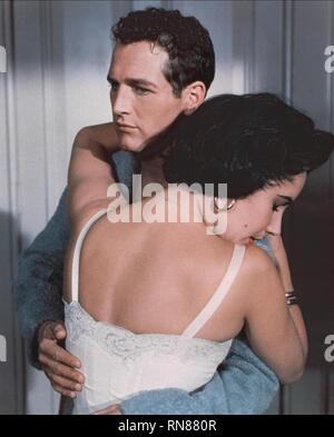 NEWMAN,TAYLOR, Cat On A Hot Tin Roof, 1958 Banque D'Images