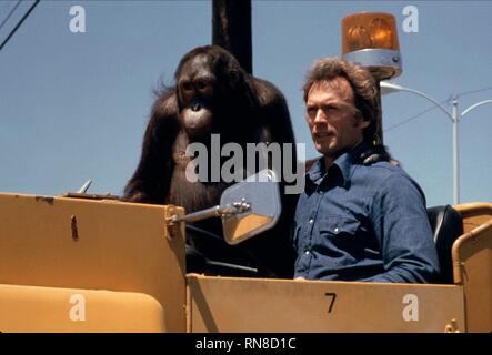 CLINT EASTWOOD, DANS TOUS LES SENS, mais lâche, 1978 Banque D'Images