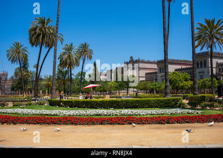 Parque de Maria Luisa, en face de la Plaza de España à Séville, Espagne. Banque D'Images