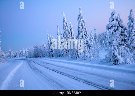 Arbres couverts de neige et de glace en Laponie , Finlande Banque D'Images