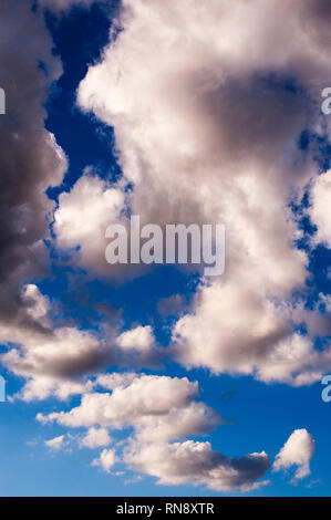 Les cumulus avec des modèles naturels aux beaux jours en été Banque D'Images