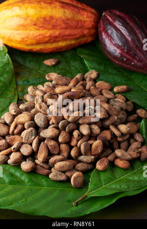 Pile de feuilles vertes sur les fèves de cacao et le cacao pods background Banque D'Images