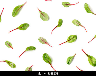 Configuration des feuilles de bette à carde verte fraîche ou mangold salade sur fond blanc. Télévision laïcs ou Vue de dessus des feuilles de betterave bébé motif, isolé sur fond blanc avec chemin de détourage. Banque D'Images