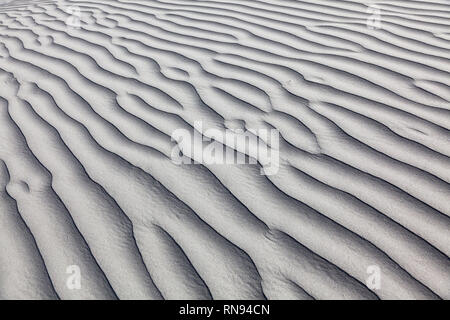 Motif sur du sable dans le domaine de la vallée de Nubra, Dogs, le Ladakh, le Jammu-et-Cachemire, l'Inde Banque D'Images