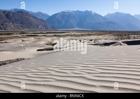 Dunes de sable dans le domaine de la vallée de Nubra, Dogs, le Ladakh, le Jammu-et-Cachemire, l'Inde Banque D'Images