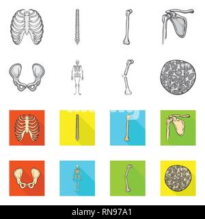 Nervure, colonne vertébrale, hanche fémur,,appareil locomoteur Fracture,,ostéoporose,,cage brisée,chiropratique,bassin,joints,scientifique,la douleur,cell,xray,ossature,péroné,tissu,biais,squelettique,body,moelle,shin,chirurgie pelvienne,dommage,conjonctif,tibia,en bonne santé,médecine,clinique,biologie,médical,os,,squelette anatomie,des,organes,,set,icône,,illustration,collection,isolé,design,graphisme,élément vecteur vecteurs,signer , Illustration de Vecteur