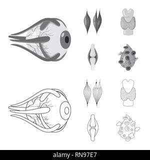 Muscle dorsal,oeil,os,sang,oeil,,organes,moelle,plasma,tendon cornée,tissu,os,ligament,cell,dommage,couches,structure,capot,system,meubles,don,vue,la douleur,la maladie,moelle,Protection,l'appareil locomoteur corps,mixte,biologie,scientifique,recherche,,laboratoire anatomie,organe interne,,médical,des,santé,,set,icône,,illustration,collection,isolé,design,graphisme,élément vecteur vecteurs,signer , Illustration de Vecteur