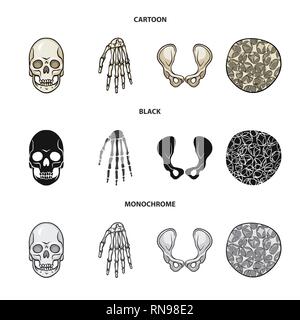 Crâne,poignet,ostéoporose de la hanche,la mort,main,,joints,cell,monster,bassin,calcium,tissus,le mal,chirurgie,structure,horreur,conjonctif,sain,bras,tatouage,cartilage,carpe,fémur,santé,tête,l'appareil locomoteur,eye,joints,rx,system,l'enfer,médecine, biologie médicale,clinique,os,squelette,anatomie,des,organes,,set,icône,,illustration,collection,isolé,design,graphisme,élément vecteur vecteurs,signer , Illustration de Vecteur