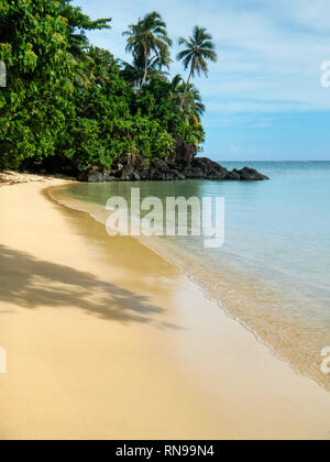 Plage de sable le long de Lavena promenade côtière sur l'île de Taveuni (Fidji). Taveuni est la troisième plus grande île des Fidji. Banque D'Images