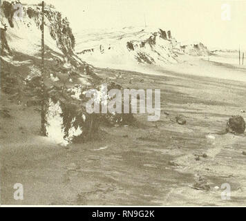 . L'analyse des variations à court terme dans la morphologie de la plage ( et les processus dynamiques ) pour les périodes d'été et d'hiver, 1971-1972, Plum Island, Massachusetts. Les plages, les vagues de l'océan. La figure 77. Vue de la tempête au sud de PL-0, washover en premier plan. Remarque Les petits. La figure 78. Avis de tempête au nord de PL-0. Montant de l'érosion des terres est noté par les deux pieux dans le centre historique. 94. Veuillez noter que ces images sont extraites de la page numérisée des images qui peuvent avoir été retouchées numériquement pour plus de lisibilité - coloration et l'aspect de ces illustrations ne peut pas parfaitement r Banque D'Images