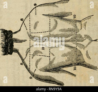 . Un recueil analytique des différentes branches de la science médicale, pour l'utilisation et l'examen des étudiants. Anatomie ; physiologie ; chirurgie ; l'obstétrique ; médecine ; matière médicale. être. Veuillez noter que ces images sont extraites de la page numérisée des images qui peuvent avoir été retouchées numériquement pour plus de lisibilité - coloration et l'aspect de ces illustrations ne peut pas parfaitement ressembler à l'œuvre originale.. Neill, John, 1819-1880 ; Smith, Francis Gurney, 1818-1878. Philadelphie, Lea et Blanchard Banque D'Images