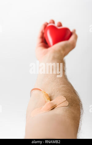 Portrait de don de sang avec les plâtres et cathéter holding toy coeur, concept de don du sang Banque D'Images