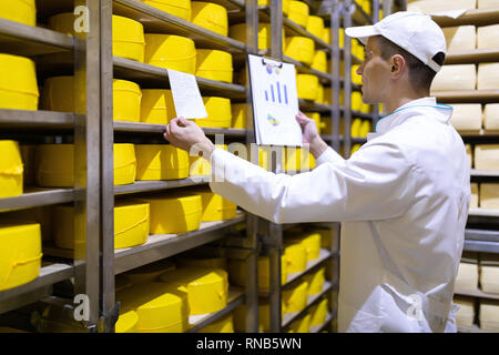 Homme avec un graphique dans sa main vérifie les statistiques dans l'entrepôt de fromage Banque D'Images