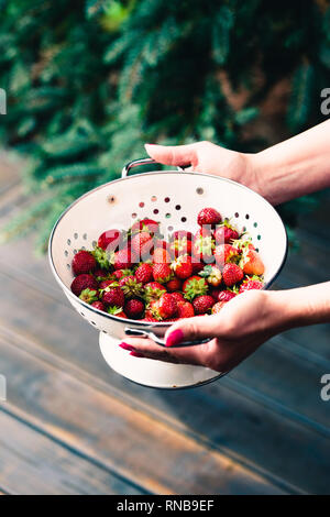 Femme hand holding bowl de fraises fraîches saupoudré de gouttes sur table en bois Banque D'Images