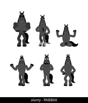 Set équitation pose. Steed heureux et yoga. hoss et couchage en colère. coupable et triste. Vector illustration Illustration de Vecteur