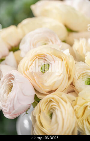 Renoncule de Perse. Bouquet rose pâle et jaune pastel ranunculus fleurs dans vase en verre. Fond d'verticale Banque D'Images