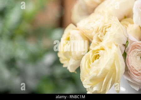 Renoncule de Perse. Bouquet rose pâle et jaune pastel ranunculus fleurs dans vase en verre. Fond d'verticale Banque D'Images