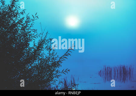 Beau paysage du matin. Lake au début matin brumeux. Lever du soleil sur le lac. Arbres sur la rive Banque D'Images