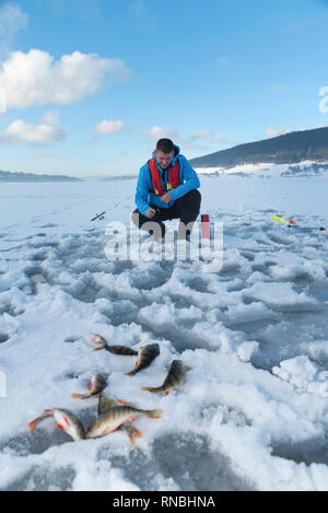 La capture du poisson pêcheur sur un lac gelé sur la neige. La pêche sur glace. Selective focus Banque D'Images