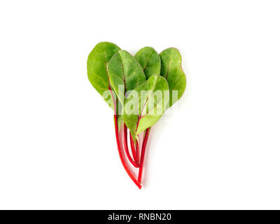 Tas de feuilles de bette à carde verte fraîche ou mangold salade sur fond blanc. Télévision laïcs ou Vue de dessus des feuilles de betterave bébé, isolé sur fond blanc avec chemin de détourage. Banque D'Images