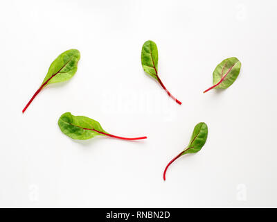 Ensemble de feuilles de bette à carde verte fraîche ou mangold salade sur fond blanc. Télévision laïcs ou Vue de dessus des feuilles de betterave bébé, isolé sur fond blanc avec chemin de détourage. Banque D'Images