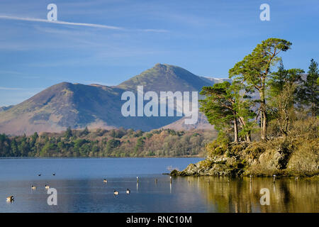 Crag frères près de point de vue fabuleuse sur Keswick offre Derwentwater. Banque D'Images