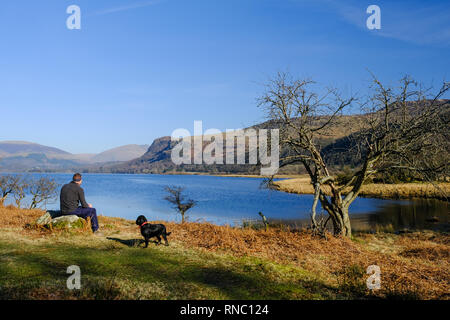 Un homme et son chien admirant la vue sur Derwent Water dans le Lake District. Banque D'Images