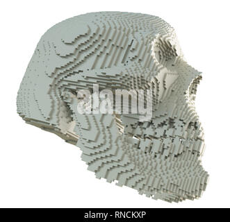 3d printed isolé du crâne Banque D'Images