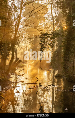 Un froid glacial, et commencer la journée ensoleillée avec une belle lumière dorée Abington Park Northampton. Banque D'Images