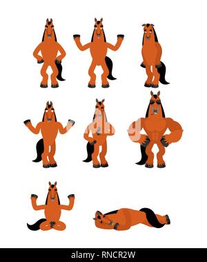 Set équitation pose. Steed heureux et yoga. hoss et couchage en colère. coupable et triste. Vector illustration Illustration de Vecteur