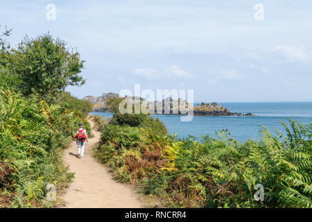 La France, de l'Ille et Vilaine, Côte d'Emeraude (Côte d'Émeraude), Cancale, Pointe du Grouin, Cove vue depuis la côte GR34 // France, Ille-et-Vilaine (35 Banque D'Images