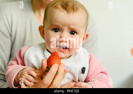 Bébé en commençant par une dégustation à l'aide de fraise le bébé conduit le sevrage BLW méthode. Banque D'Images
