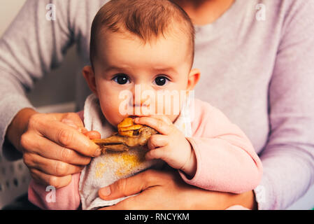 Bébé âgé de 5 mois de manger une cuisse de poulet à l'aide de l'enfant conduit le sevrage BLW méthode. Banque D'Images