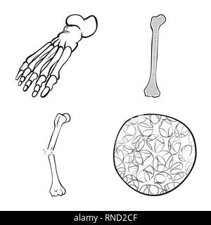 Fracture du fémur,pieds,de,l'ostéoporose,cheville osseuse,la douleur,,cell,avant-pied,tibia conjonctif,DE,panneaux,péroné,cartilage,musculosquelettiques,les pieds plats,linstallation,mouvement,fibre optique,joints,,scientifique,structure,dommage,musculaire,pieds nus,calcium,jambe,en bonne santé,médecine,clinique,biologie,médical,os,squelette humain,anatomie organes,,set,icône,,illustration,collection,isolé,design,graphisme,élément signe,ligne,plan,vecteurs vecteur , Illustration de Vecteur