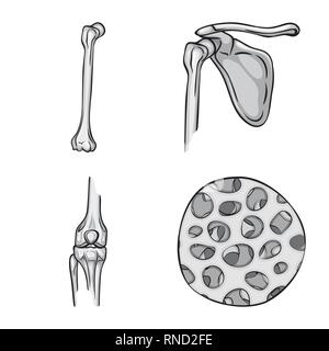 Fémur brisé,fibres,,bassin,sain,osseuses,chirurgie,joints,jambe tendon,douleur,mouvement,cell,bois flotté,dommage,tissu,ossature,péroné,scientifique,hanche,shin,,pelvienne de muscle,Genou,tibia fracture,épithélium,épiderme,biologie,médical,os,,squelette anatomie,des,organes,médecine,clinique,,set,icône,,illustration,collection,isolé,design,graphisme,élément signe,gris,noir,vecteurs vecteur , Illustration de Vecteur