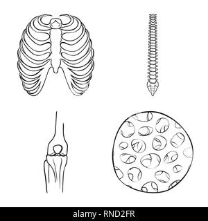 Nervure, colonne vertébrale,fémur,,fibre,cage,chiropratique,osseuses,sain,le corps,l'ostéoporose,tibia péroné,posture,épithélium,épiderme,sternum,joints,tendon,sternum,mouvement,base,cell,dommage,calcium,tissus,santé,chirurgie,la douleur,la médecine,structure,biologie,clinique,medical,squelette anatomie,os,des,organes,,set,icône,,illustration,collection,isolé,design,graphisme,élément signe,ligne,plan,vecteurs vecteur , Illustration de Vecteur