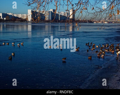 Parc sur la digue de la rivière de Moscou en hiver, les imprimantes de district Banque D'Images