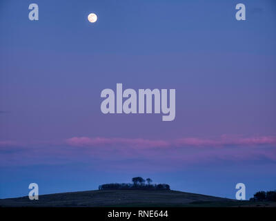 Le Derbyshire, Royaume-Uni. Feb 18, 2019. La neige Super Pleine Lune s'élève au-dessus de Minninglow dans le parc national de Peak District, Derbyshire. La pleine lune sera à son point le plus proche de la Terre à 9.06 du matin le mardi 19 février 2019. Ce sera le plus grand et les plus brillants de l'ensemble de l'année 14  % plus grand que d'habitude et 30  % plus lumineux. De : Doug Blane/Alamy Live News Banque D'Images