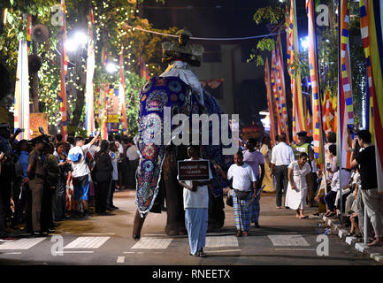 Colombo, Sri Lanka. Feb 18, 2019. Un éléphant prend part à la procession annuelle Navam bouddhiste en face de l'Gangarama Temple à Colombo, Sri Lanka, le 18 février, 2019. Des milliers de personnes avec des dizaines d'éléphants se sont réunis au Temple Gangaramaya de prendre part à la procession annuelle Navam bouddhiste prévue le 10 févr. 18 à 19. Credit : A.Hapuarachchi/Xinhua/Alamy Live News Banque D'Images