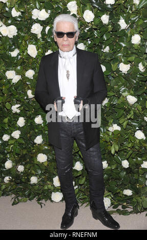 New York, NY, USA. 5ème Nov, 2019. Karl Lagerfeld participe à la Museum of Modern Art Film Avantage : un hommage à Tilda Swinton le 5 novembre 2013 à New York. Crédit : Jon Palmer/media/Alamy Punch Live News Banque D'Images