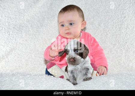 7 mois bébé fille avec de jeunes sprocker spaniel puppy dog Banque D'Images