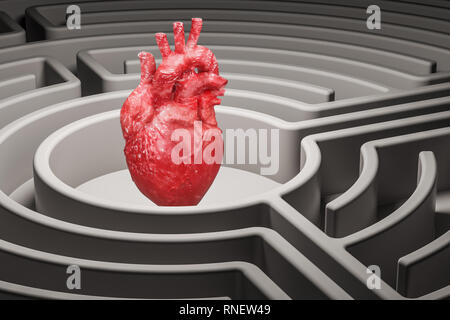 Coeur de l'homme organe dans le Labyrinthe Labyrinthe, rendu 3D Banque D'Images