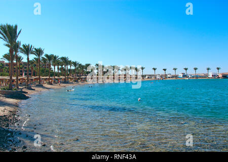 Tropical resort en Égypte. Palmiers plage de sable de la mer. Les gens se reposer sur la plage. Les gens profiter de mes vacances dans la station balnéaire de la mer Rouge. Tropical resort avec g Banque D'Images