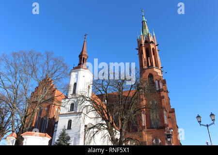 Basilique Cathédrale de l'Assomption de la Bienheureuse Vierge Marie, Białystok, Vue du centre-ville Banque D'Images