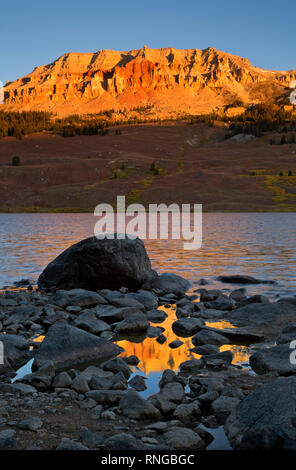 WY03781-00...WYOMING - Beatooth Butte brillants dans la lumière tôt le matin et se reflétant dans les flaques le long de la rive du lac Beartooth. Banque D'Images