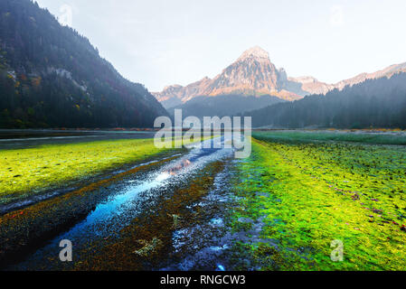 Printemps pittoresque vue sur lac Obersee dans Alpes suisses. Nafels, village suisse. Photographie de paysage Banque D'Images